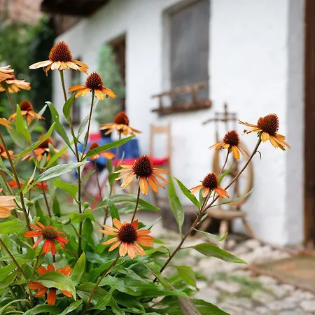 Adiaha's Kleines Paradies 아파트 Burgkirchen an der Alz